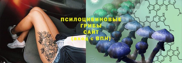 альфа пвп Козельск