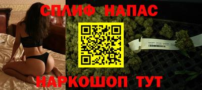 амф Дубна