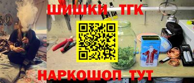 амф Дубна