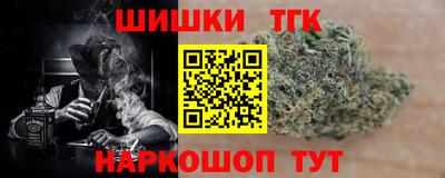 амф Дубна