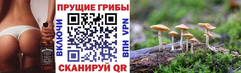 Галлюциногенные грибы мицелий где найти наркотики Реутов