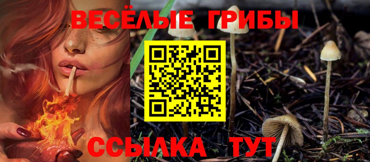 Реутов  Псилоцибиновые грибы MAGIC MUSHROOMS  Вход с VPN 