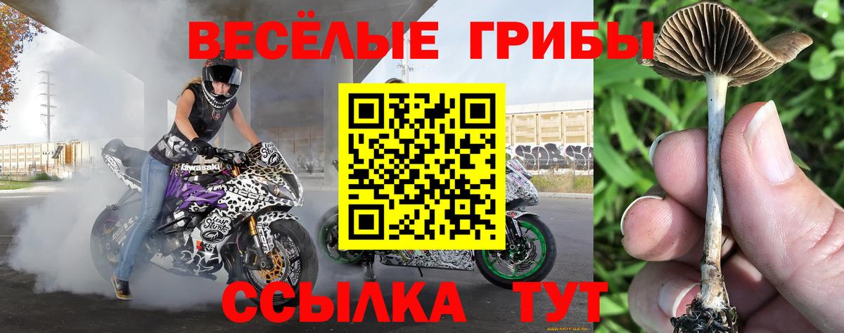 Галлюциногенные грибы MAGIC MUSHROOMS Реутов