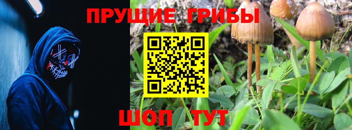 Меф Реутов